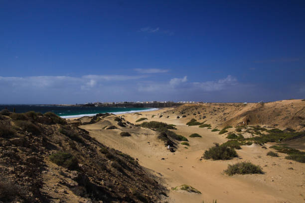 вид на песчаные дюны с зеленым океаном на (playa del aljibe) на белой деревне на крутой скале - sea black and white horizontal horizon over water стоковые фото и изображения