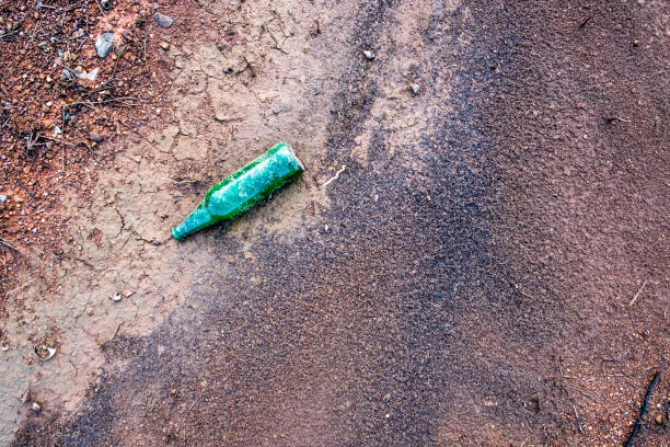 Empty green glass bottle dumped on the ground.