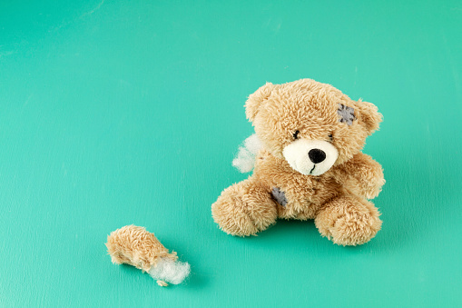 Toy teddy bear with teared away paw. Disappointment, spoiled life and ruined illusion concept
