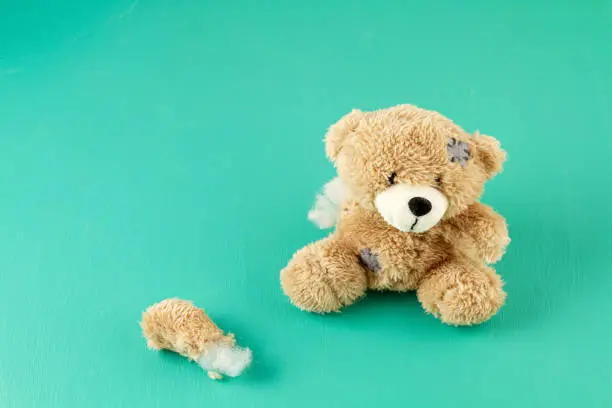 Photo of Toy teddy bear with teared away paw