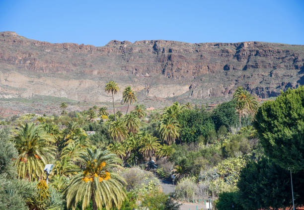 istock Scenic view from Santa Lusia 1167183940