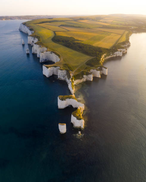 Old Harry Rocks, Dorset, UK Drone Shot of Old Harry Rocks, Dorset, UK old harry rocks stock pictures, royalty-free photos & images