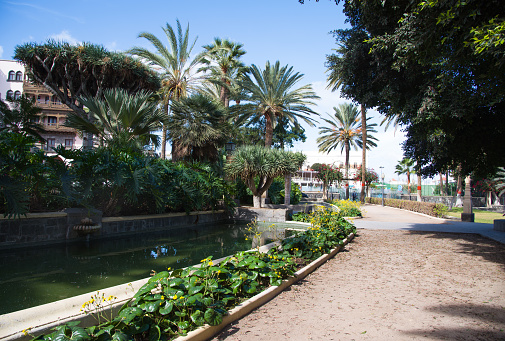 Beautiful view on the small pond in Doramas Park in Las Palmas, Gran Canary, Spain
