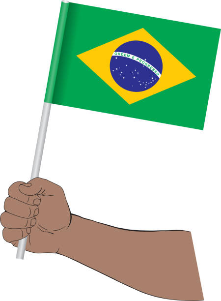 istock Hand holding national flag of Brazil 1167184399