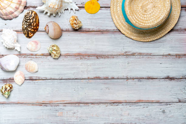 istock Tropical summer concept from the top view 1167185659