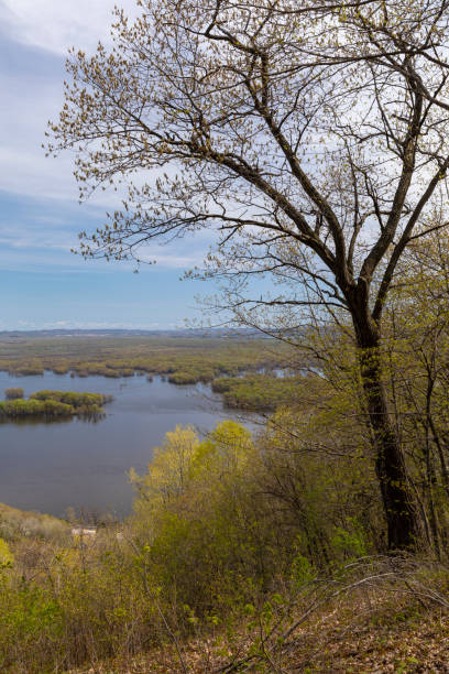 istock Mississippi River Scenic Landscape 1167185977