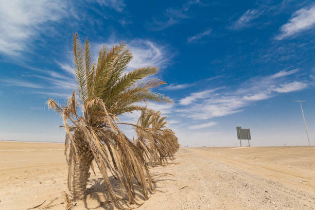 istock UAE. Desert  landscape, road 1167187137