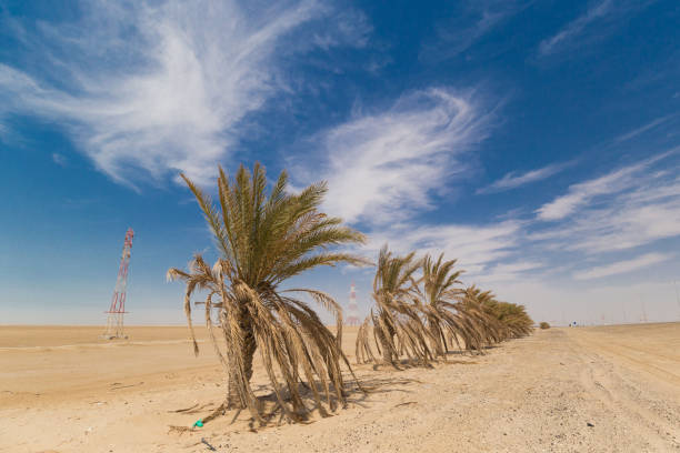 istock UAE. Desert  landscape, road 1167187185