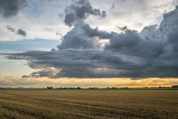 istock Dramatic storm clouds are forming over the wide open dutch landscape 1167188352