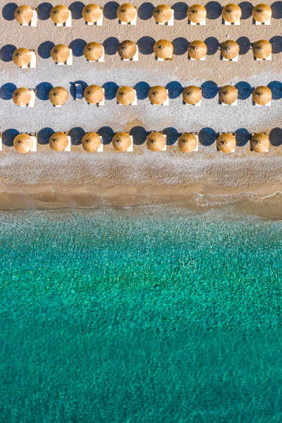 vue aérienne du rivage de plage - mushroom edible mushroom water splashing photos et images de collection