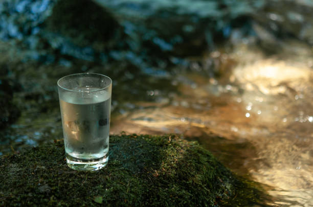 istock Natural water in a glass 1167192990