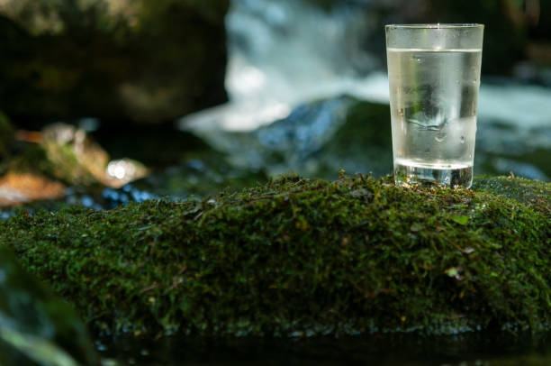 istock Natural water in a glass 1167192997
