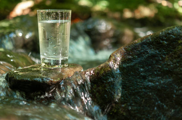 istock Natural water in a glass 1167193039