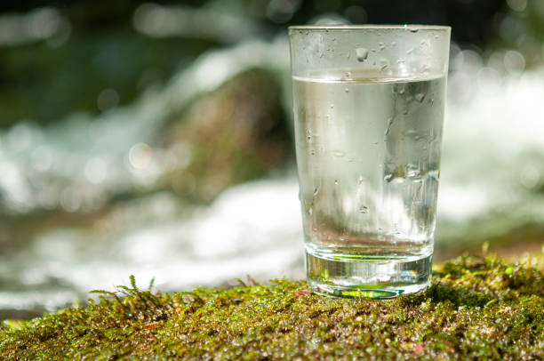 istock Natural water in a glass 1167193056