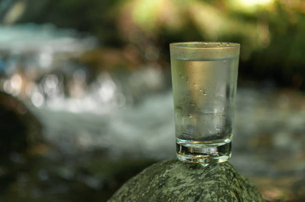 istock Natural water in a glass 1167193105