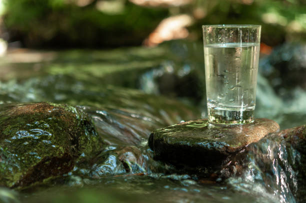 istock Natural water in a glass 1167193170