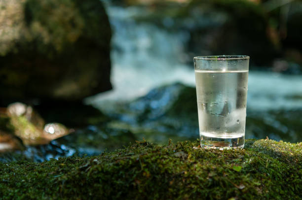 istock Natural water in a glass 1167193700