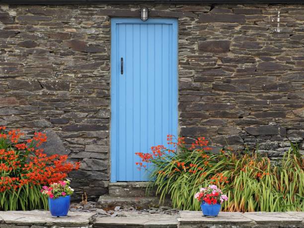 Blue wooden door of stone house A rustic background in Ireland crocosmia stock pictures, royalty-free photos & images