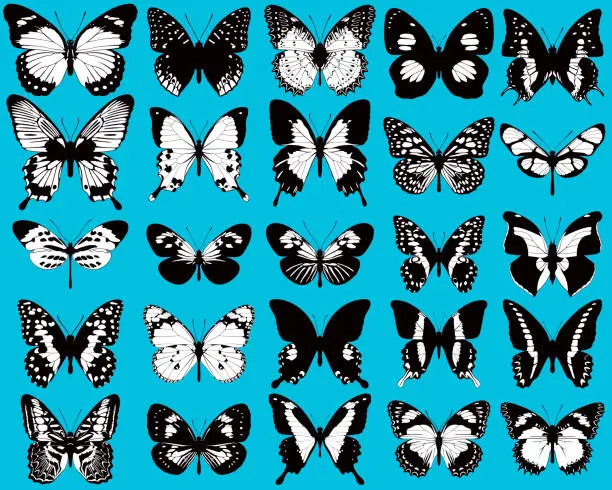 Vector illustration of Set of black and white, vector butterflies on blue background