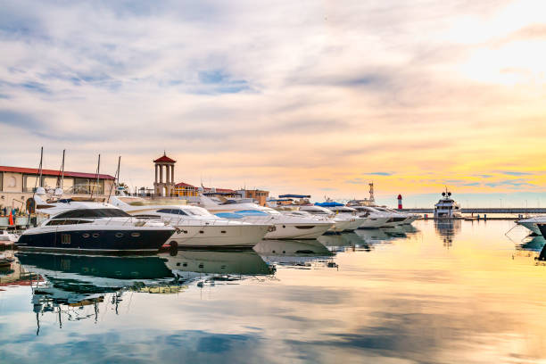 Modern yachts at sunset. Luxury yachts at sunset. Marina of modern motor and sailing boats in sunshine. Reflection blue sky in water. Sea port dock. Travel and fashionable vacation. sochi photos stock pictures, royalty-free photos & images