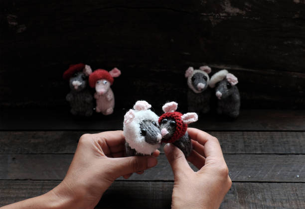 istock hand hold tiny rat with grey mice background on black 1167196786