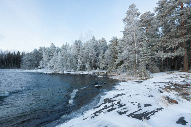 istock Trees covered in hoarfrost at lake shore 1167198040