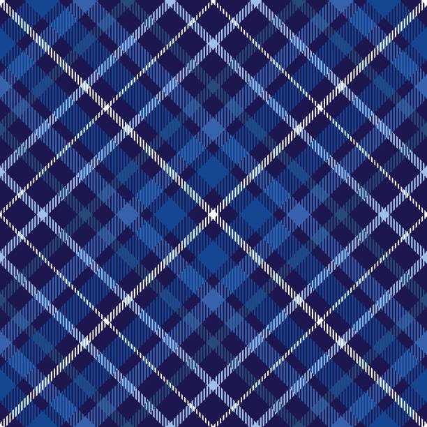 Plaid pattern in blue, navy and white. Allover fabric texture print. preppy fashion stock illustrations