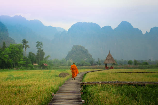 vang vieng, laos - 29 apr 2019: il monaco buddista cammina su un ponte di legno con campo di grano all'alba. - vang vieng foto e immagini stock