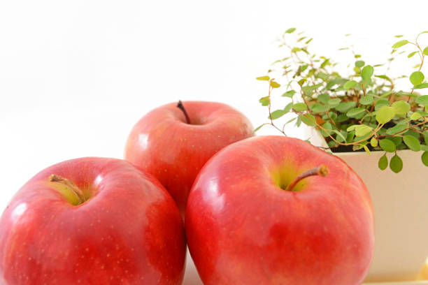 Fresh and healthy fruits on white background