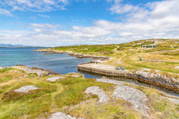 istock Pier with rocks and vegetation in Carraroe 1167209798