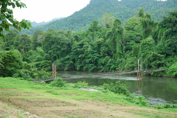 istock Suspension bridge in the jungles 1167214271