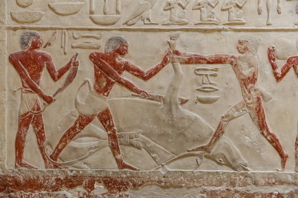 istock Scenes in Saqqara Necropolis, Cairo, Egypt 1167214451