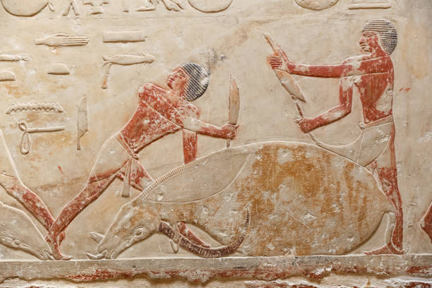 istock Scenes in Saqqara Necropolis, Cairo, Egypt 1167214470