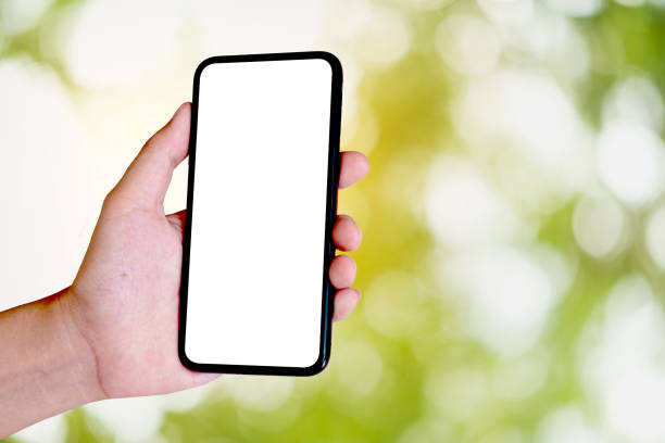istock woman using Smartphone. Blank screen mobile phone for graphic display montage.networking service. 1167215560