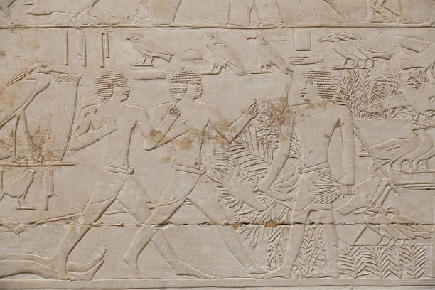 istock Scenes in Saqqara Necropolis, Cairo, Egypt 1167217642