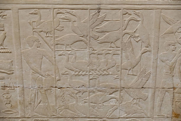 istock Scenes in Saqqara Necropolis, Cairo, Egypt 1167217643