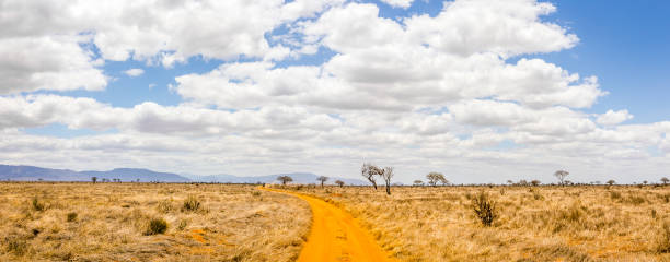 istock Safari road in Kenya 1167219061