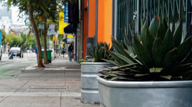 istock City streets of San Francisco 1167219105
