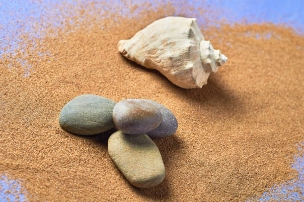 istock Seashell, stones and scattered dry sand on blue scratched concrete. Space for text. Top view 1167219743