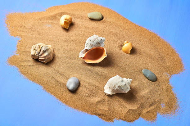 istock Seashells, stones and scattered dry sand on blue scratched concrete 1167219977