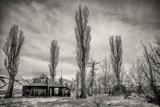 An old abandoned farmhouse located in the Inyo National Forest just north of Mono Lake, California, listed by the state as a historic location circa 1890.