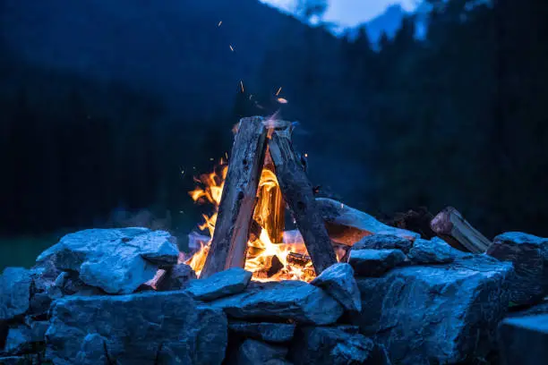 Forest bonfire in the summer, camping time with friends. Copy space.