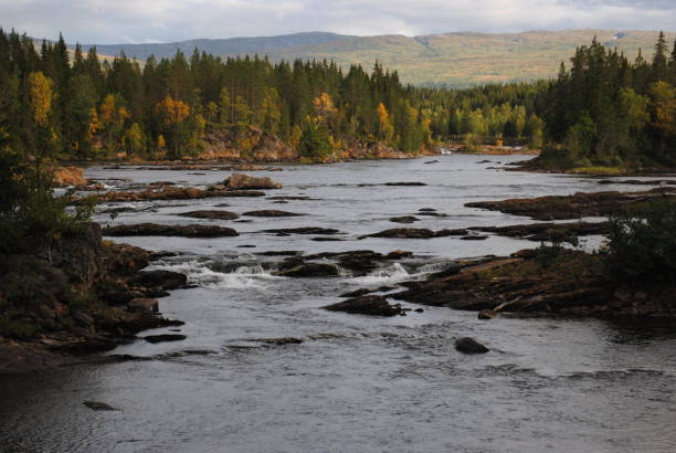 istock River with stones and trees at the sides 1167228474