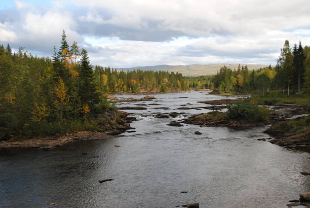 istock River with stones and trees at the sides 1167228511