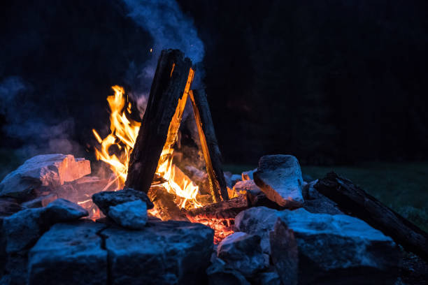 istock Camping bonfire with yellow and red flames in summer, forest. Copy space. 1167228589