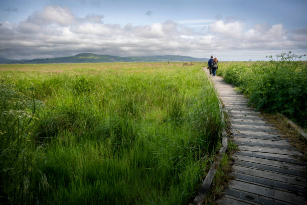 Two people walk along the wooden boardwalk across salt marshes to reach the Martyr's Stake memorializing two females drowned in the River Bladnoch when they refused to renounce their faith during Covenanter times in 1685, Wigtown, Scotland, UK, Europe
