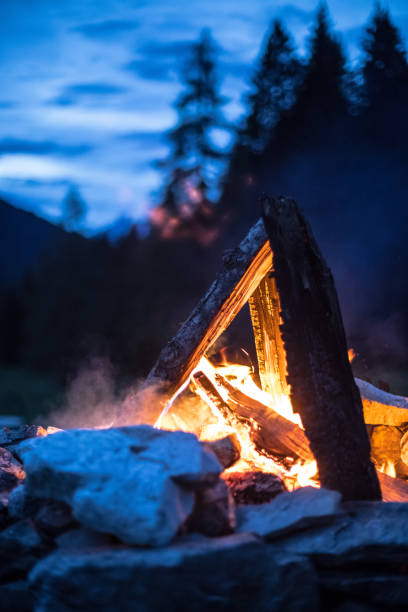 istock Camping bonfire with yellow and red flames in summer, forest. Copy space. 1167228907