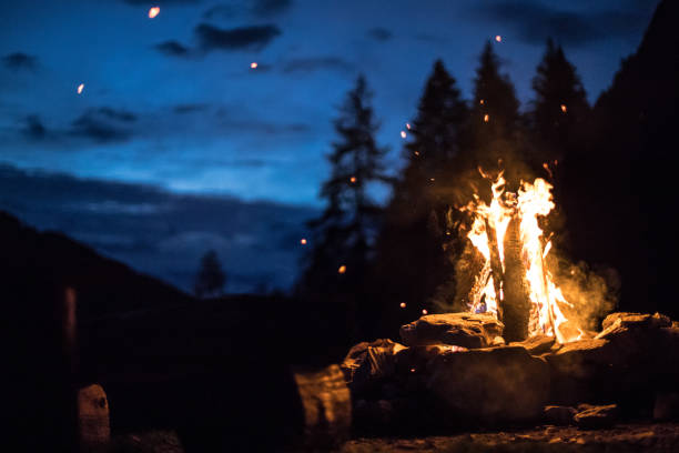 istock Camping bonfire with yellow and red flames in summer, forest. Copy space. 1167228934