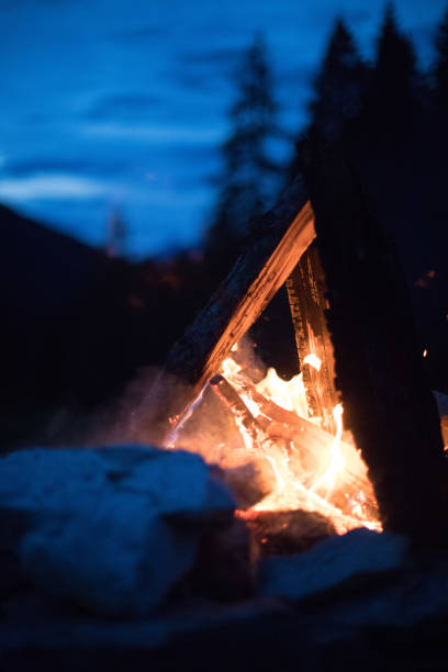 istock Camping bonfire with yellow and red flames in summer, forest. Copy space. 1167229953