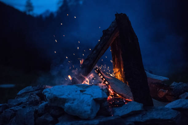 istock Camping bonfire with yellow and red flames in summer, forest. Copy space. 1167229960
